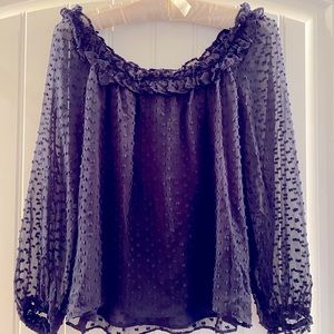 J.Crew Navy Sheer Long Sleeve Dot Blouse